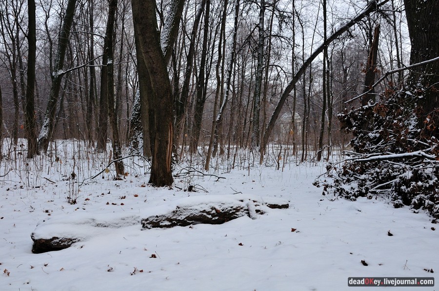 усадьба Быково