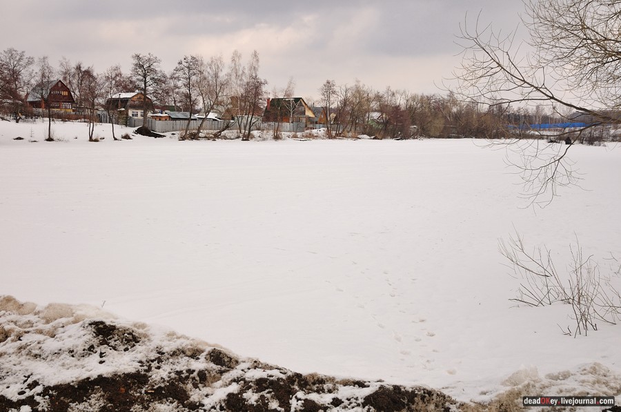 усадьба Вишняково