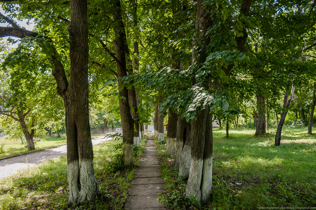усадьба Стегаловка Ведровых