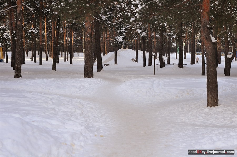 усадьба Белая Дача