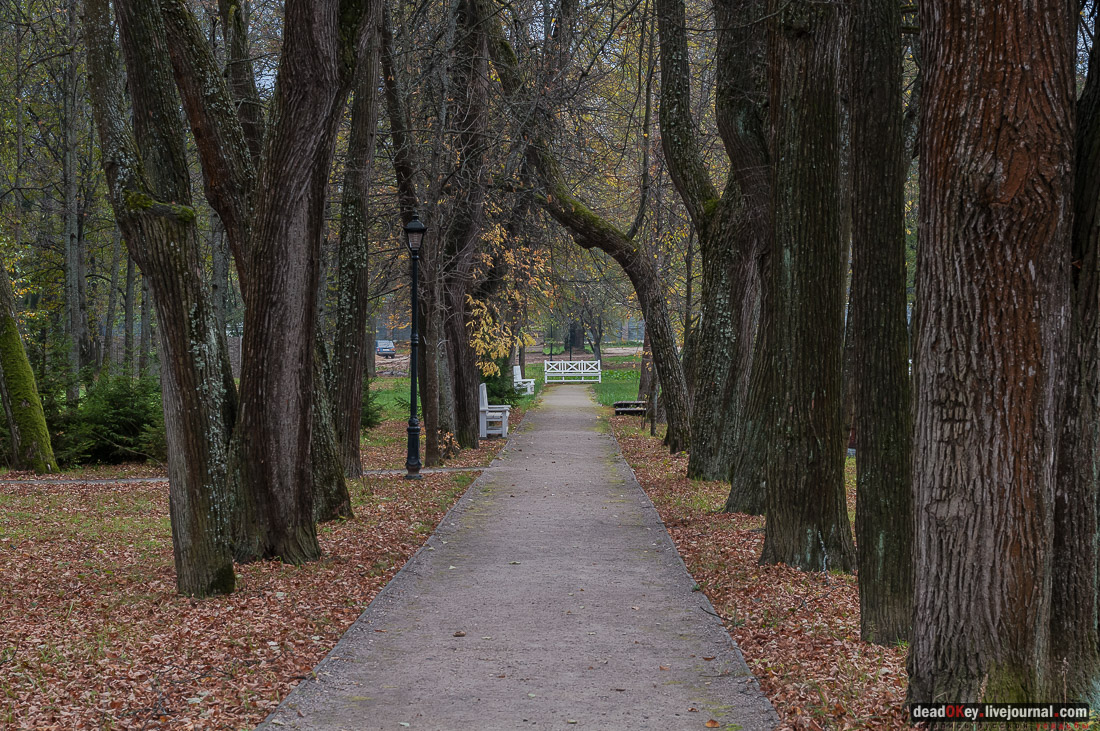 Усадьба Покровское-Рубцово