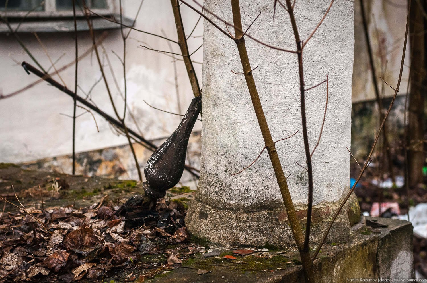 усадьба Петрово (Дурнево, Петрово-Дальнее), Красногорский район, Московская область