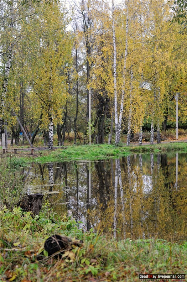 усадьба Лучки