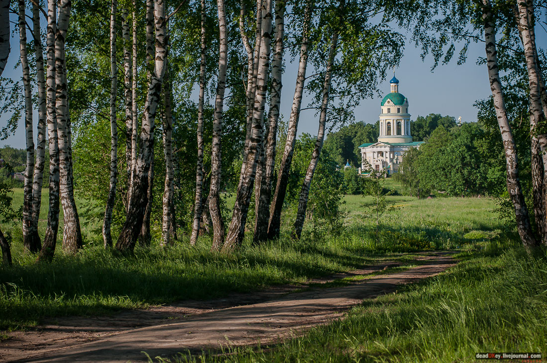 Пейзажный парк в усадьбе Гребнево