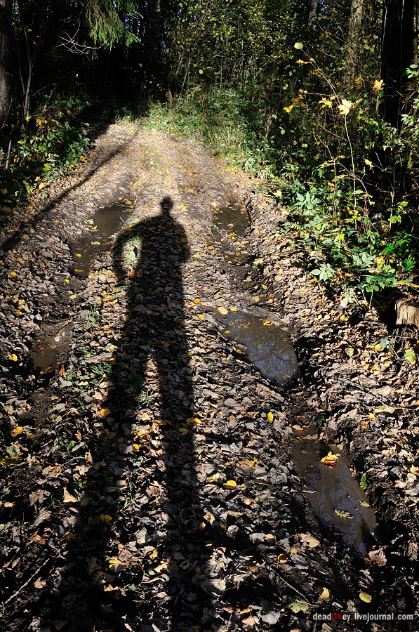 усадьба Дубровка (Мансурово)