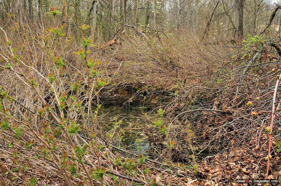 усадьба Антипино