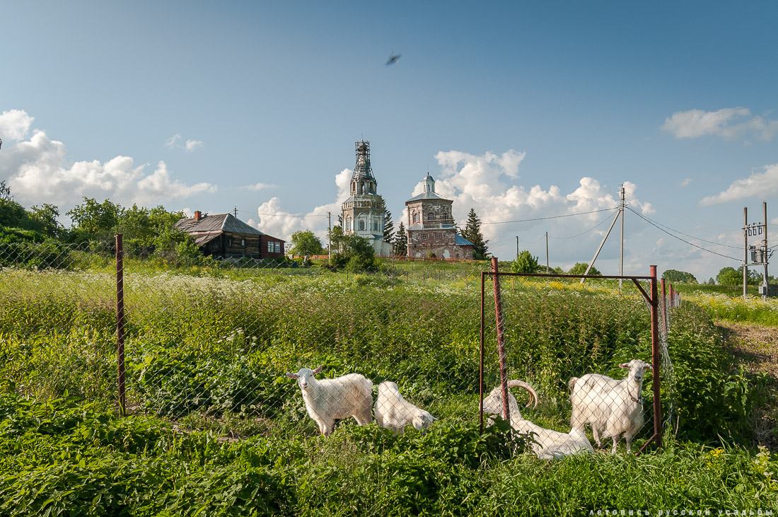 усадьба Чиркино