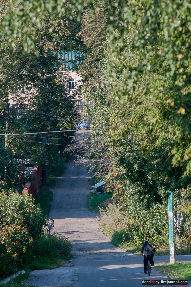 усадьба Мещерское