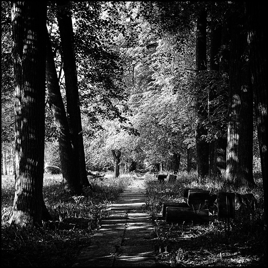 Парковые аллеи в русских усадьбах