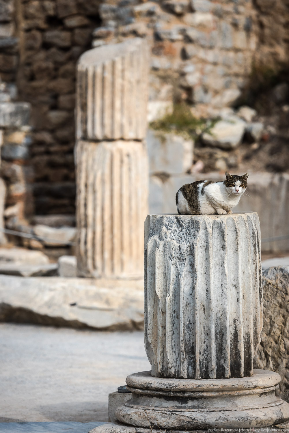 Эфес, античные руины, Турция