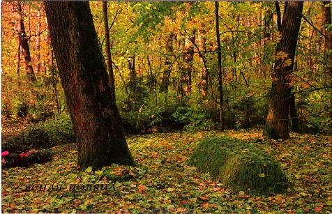 усадьба Ясная Поляна