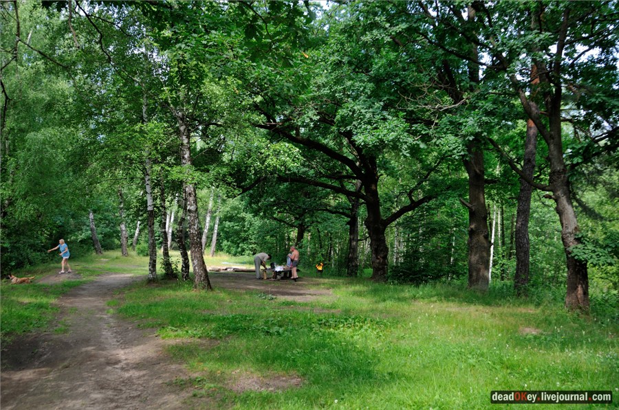 усадьба Алмазово