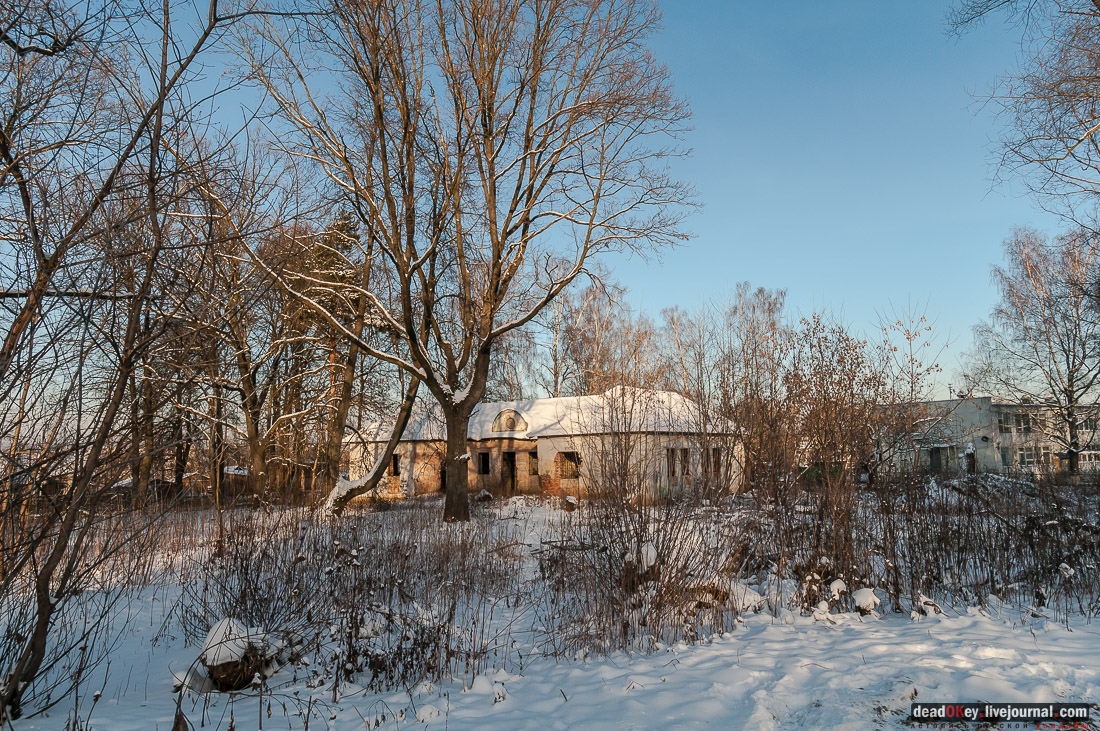 усадьба Васькино