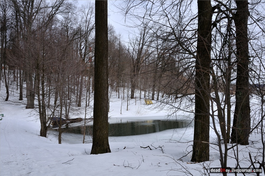 усадьба Райки