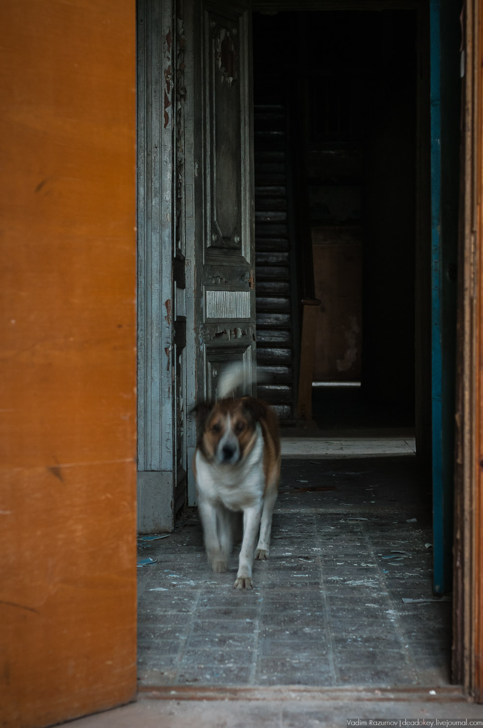 Интерьеры усадьбы Петрово-Дальнее, Дурнево