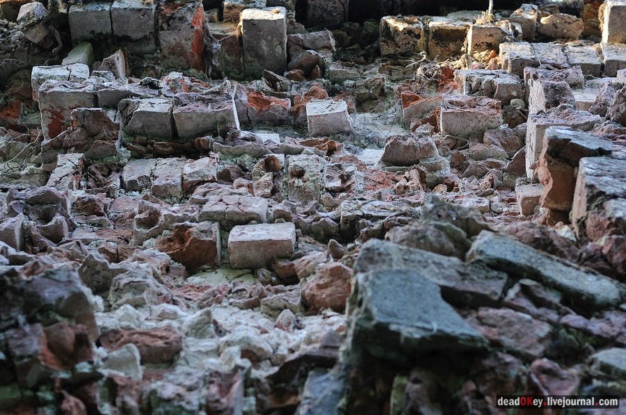 усадьба Клины