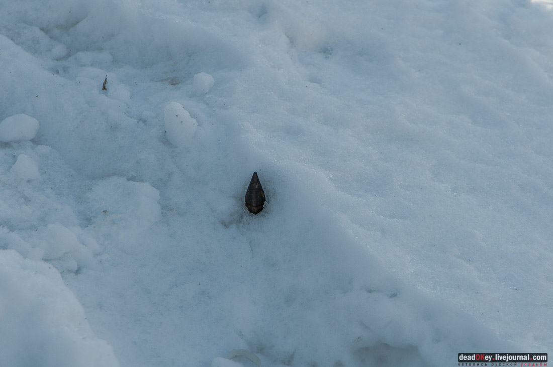 Никольское кладбище