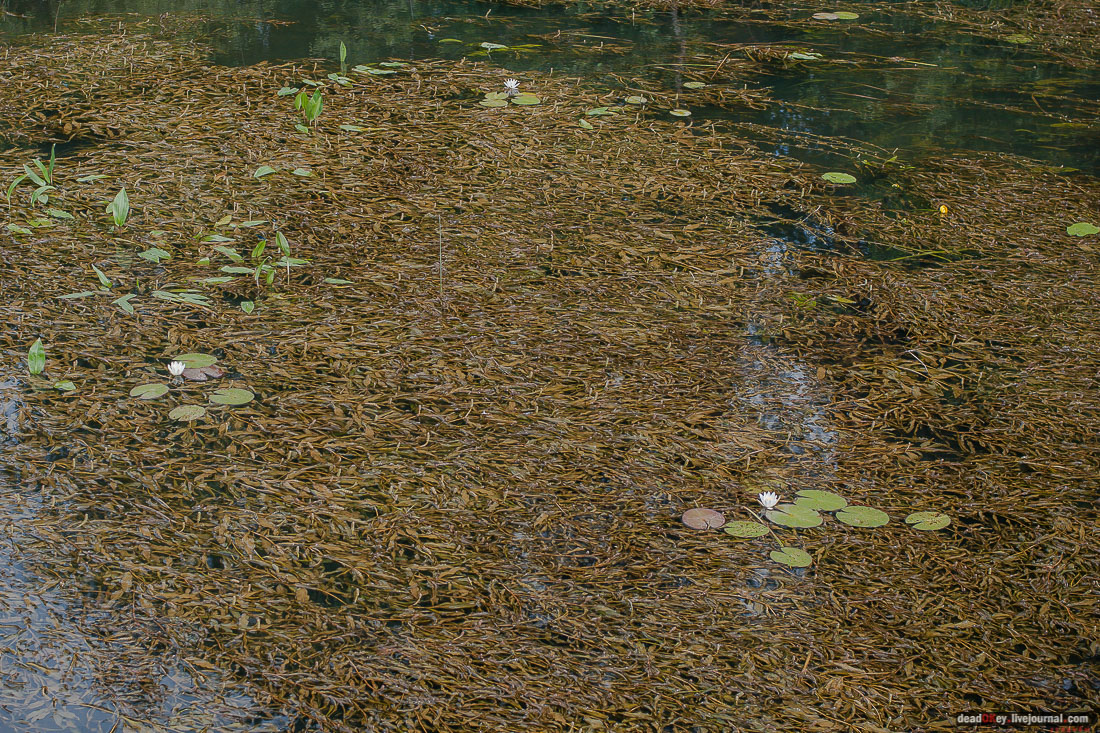 усадьба Знаменское-Раек, Тверская область, Новоторжский район