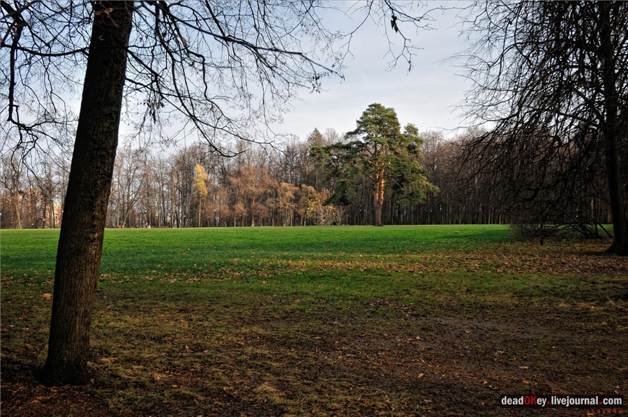 усадьба Царицыно