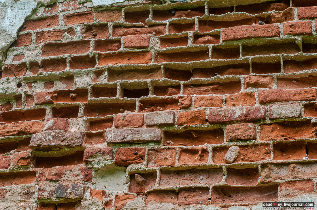 усадьба Никольское-Черенчицы