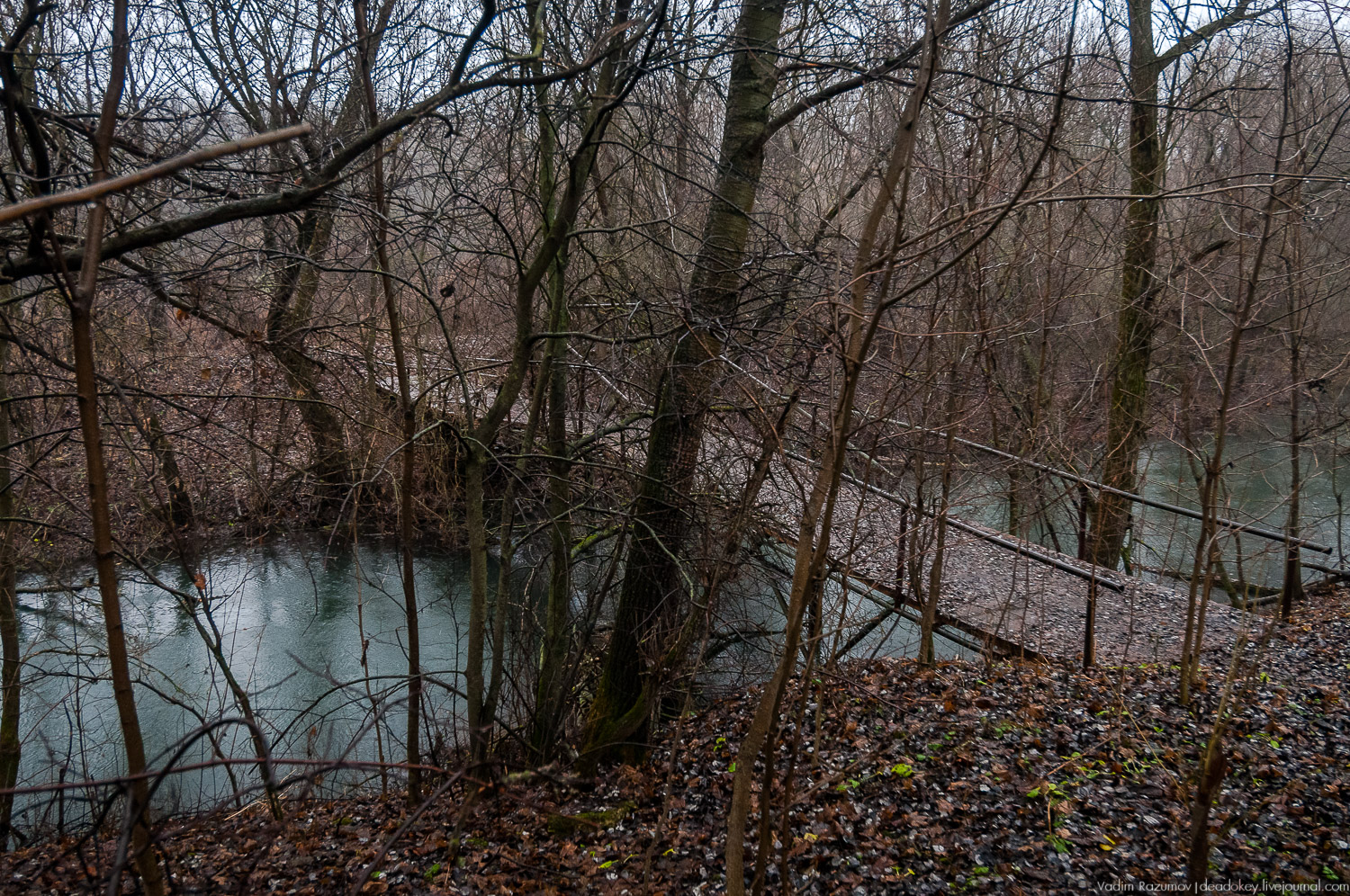 усадьба Пальна-Михайловка, аудиогид по усадбе, фото Вадим Разумов