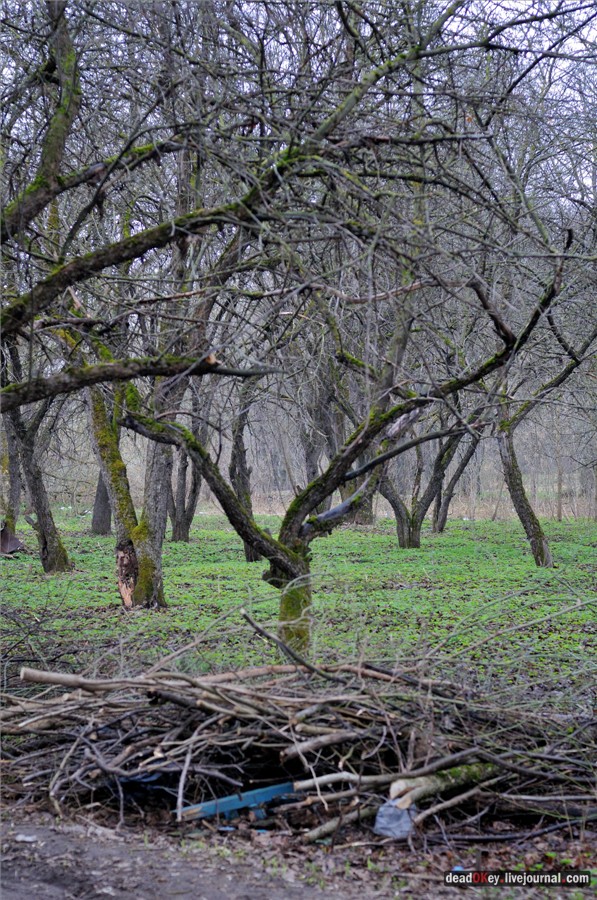 усадьба Полотняный Завод Гончаровых