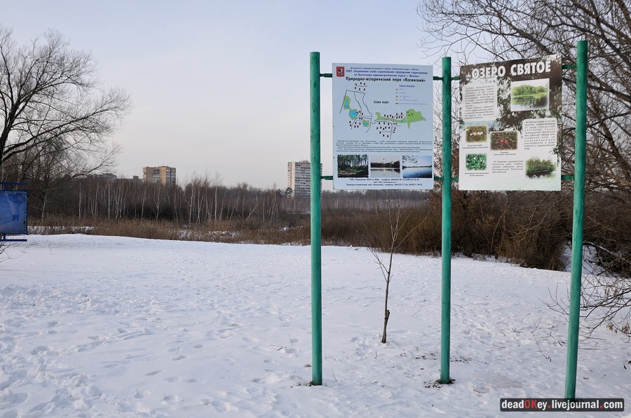 Косино