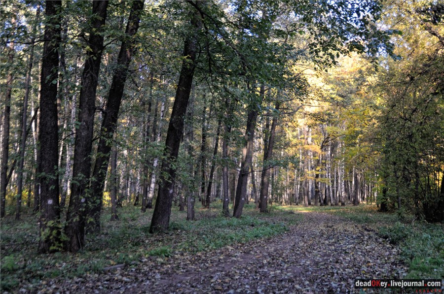 усадьба Петровское-Разумовское