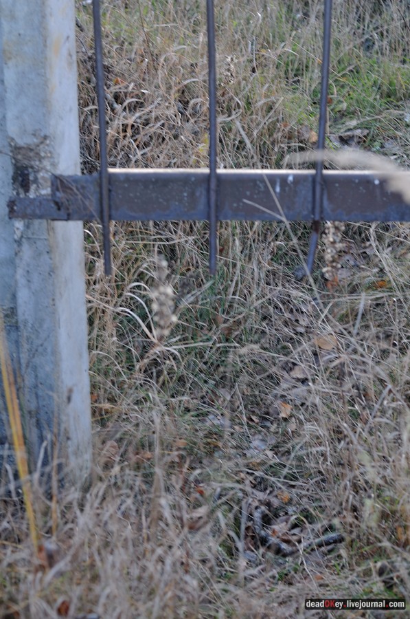 усадьба Ивановское