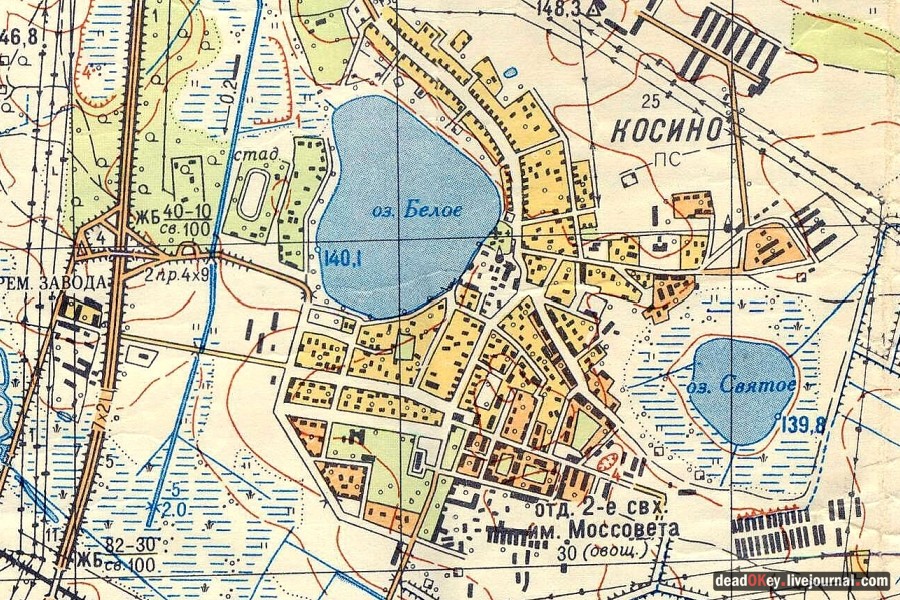 усадьба Косино