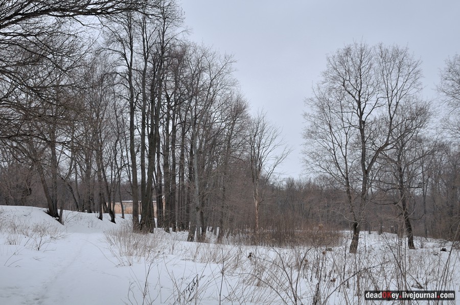 усадьба Троице-Лобаново