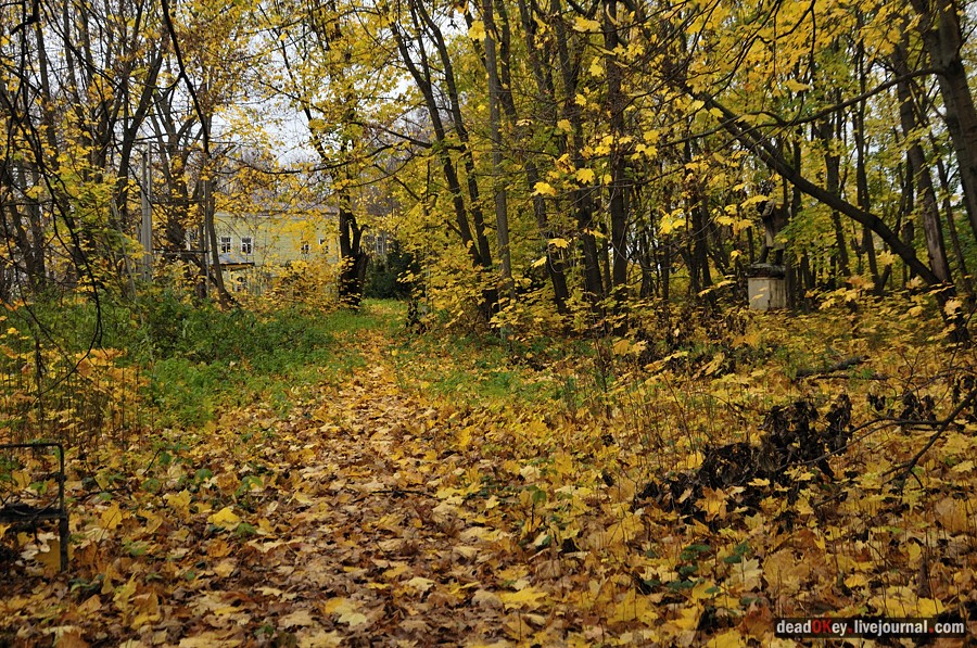 усадьба Жуково