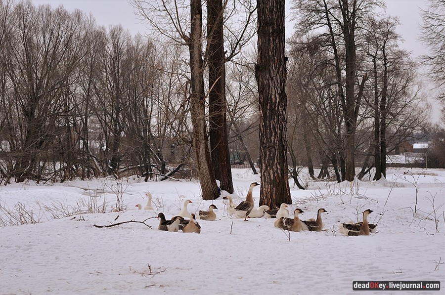 усадьба Успенское