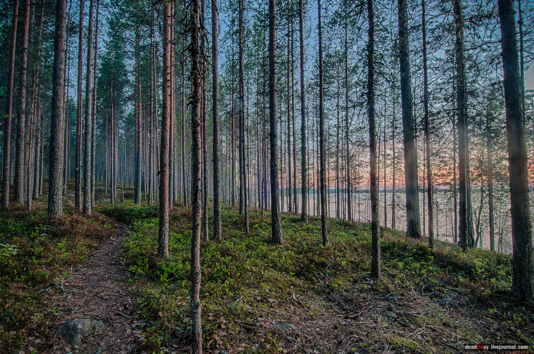 Россия, Карелия, Кондопожский район, Вендеры, Сяпчозеро, Спасская Губа