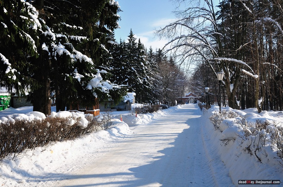 усадьба Лукино