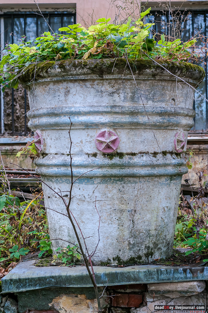 Усадьба Покровское-Рубцово