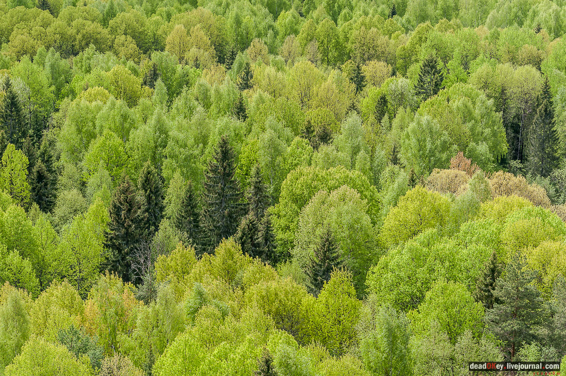 Пролетая на МИ-8 над Ярославской областью, часть 1. Аэрофотосъемка с вертолета