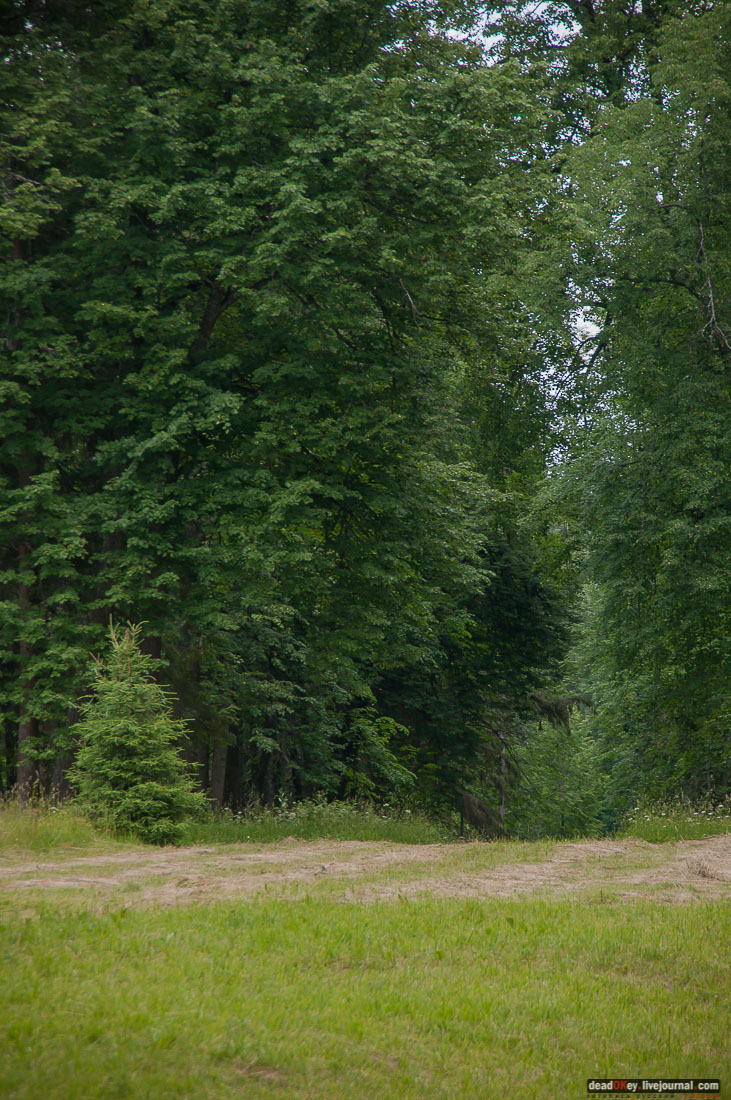 усадьба Знаменское-Раек, Тверская область, Новоторжский район