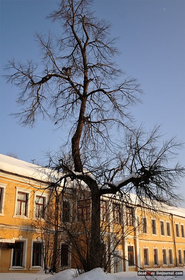 усадьба Андреевское