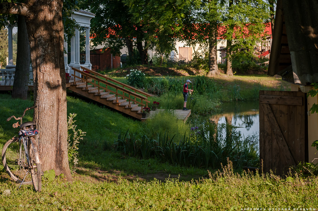 усадьба Степановское-Волосово, фотографии с дрона, шетлендский пони Трамп