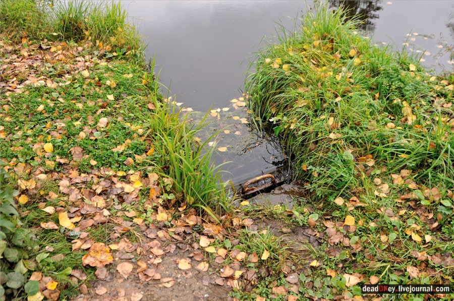 усадьба Лучки