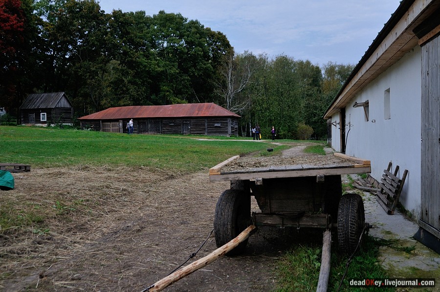 усадьба Ясная Поляна