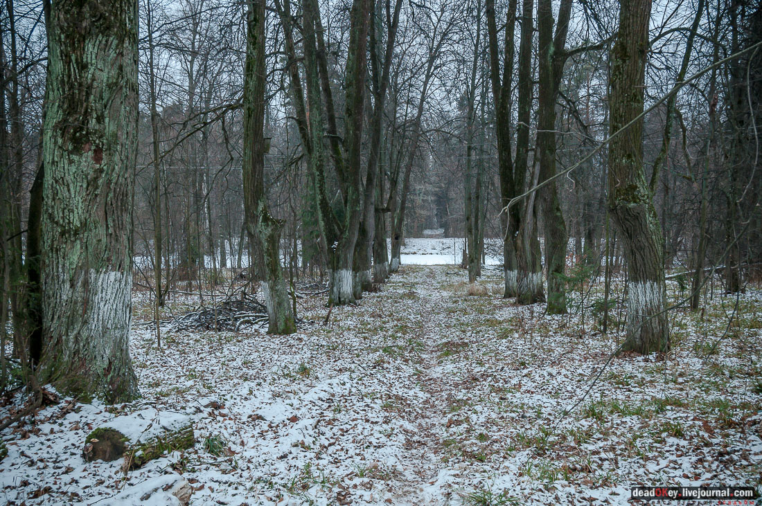 усадьба Никольское-Обольяниново