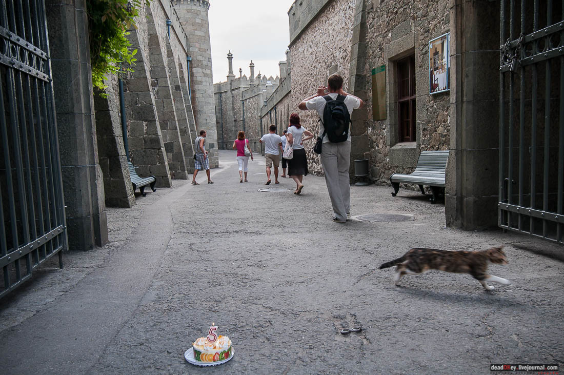 5 лет жж deadokey.livejournal.com