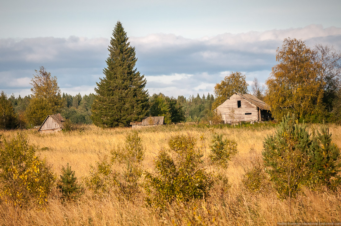 дер. Кучепалда, Архангельская обл.
