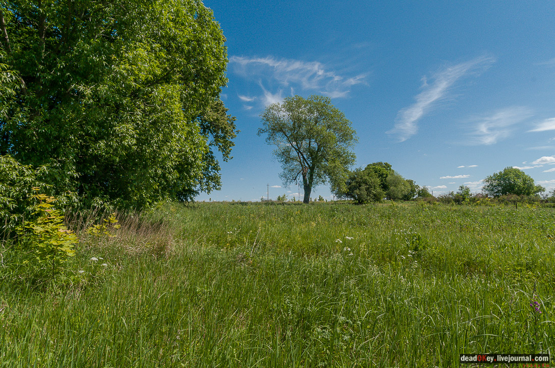 усадьба Мещерино