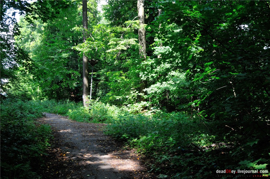 усадьба Глинки Якова Брюса (пансионат Монино)