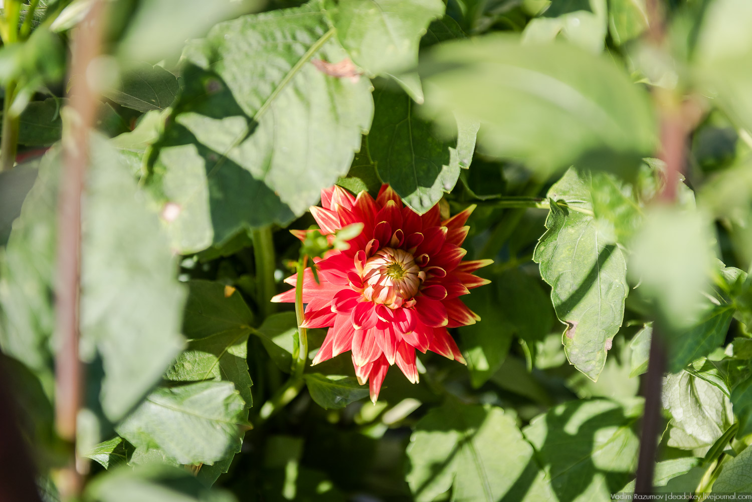 усадьба Сергиевское-на-Упе, Усадебные волонтеры 24 августа 2019 года