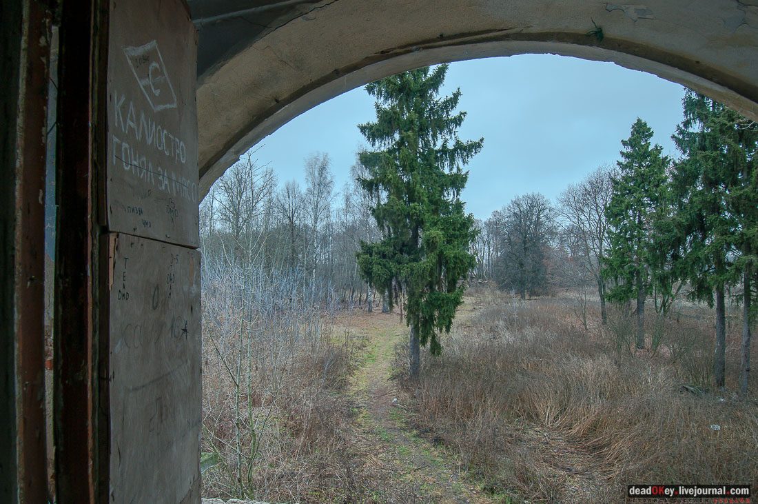 Усадьба Ляхово, съемки на НТВ-Сегодня
