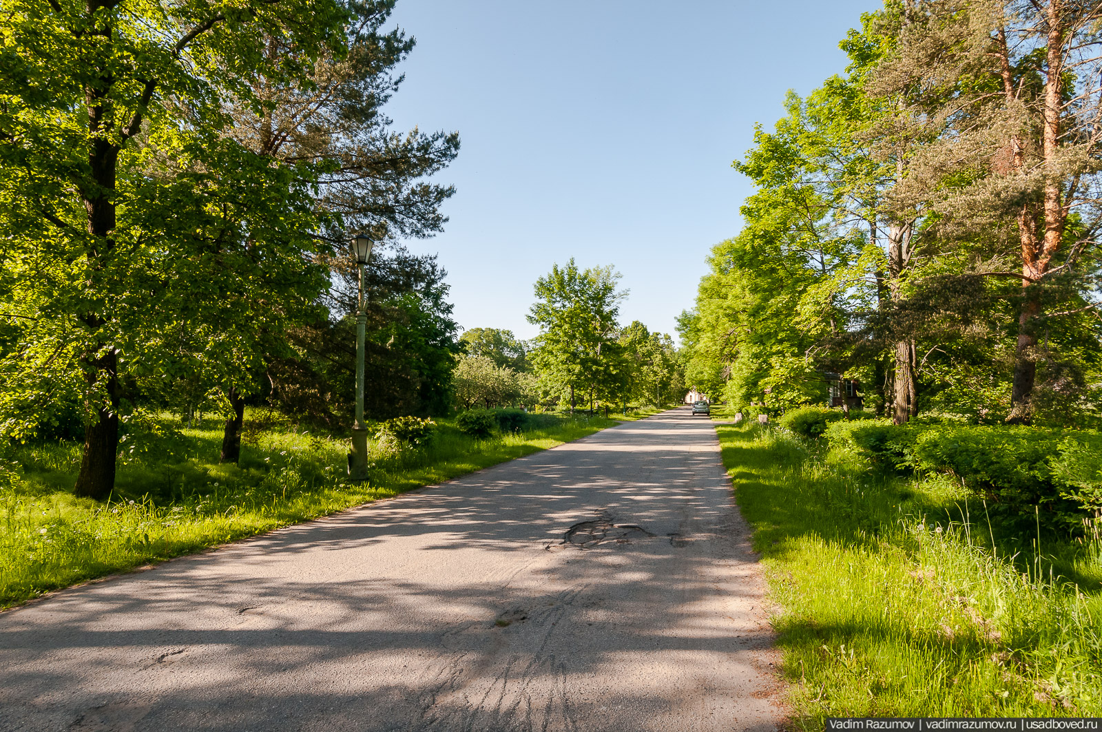 Усадьба Знаменка, Петергофская дорога